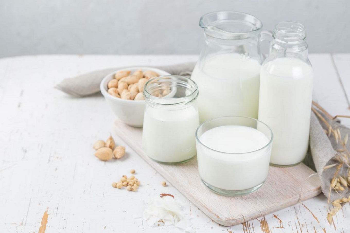 Transitioning to Dairy Free: Exploring Plant Based Milk and Vegan Cheese Alternatives