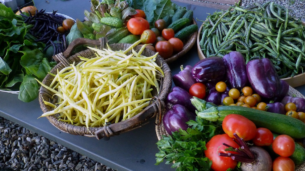 Embracing Plant Based Living: The Ultimate Guide to Going Vegan.